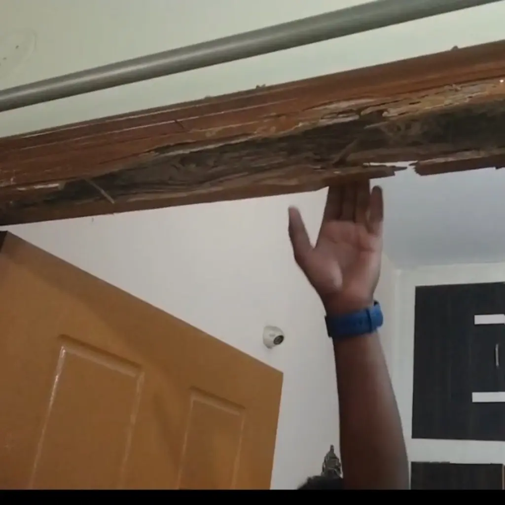 Severe termite wood damage on door frame